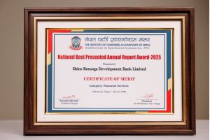 Certificate of Merit 2025