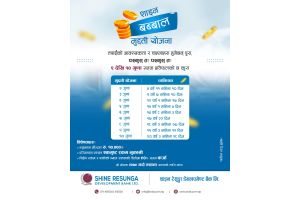 Shine Product Campaigns