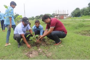 Shine Grow Green Project 2080